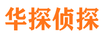 谢家集侦探公司